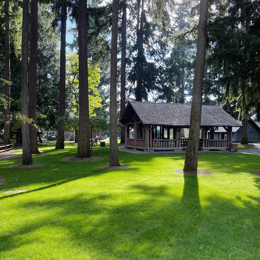 Redmond: Anderson Park ★☆☆☆☆