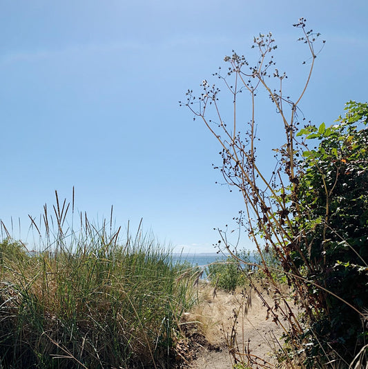 Mukilteo: Lighthouse Beach Park ★★☆☆☆