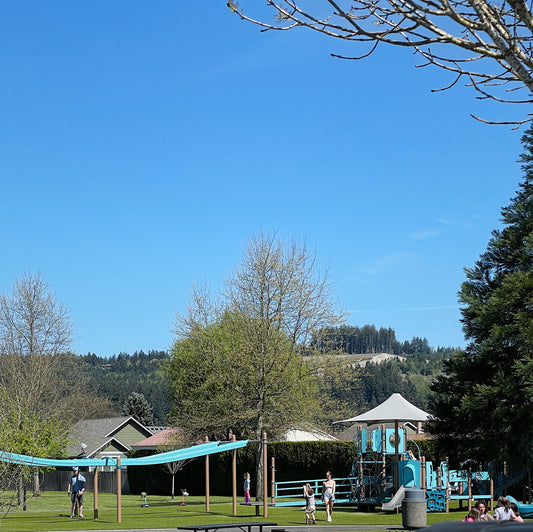 Sumner: Rainer View Park ★★☆☆☆